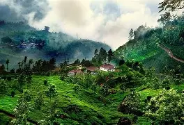 Coorg tour package from Coimbatore