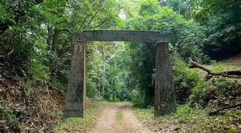 Silent Valley tour package from Coimbatore