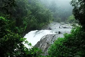 Kalpetta Tour