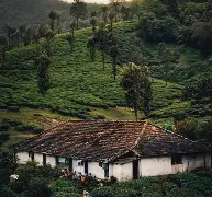 Nelliyampathy Tour