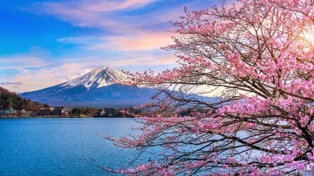 Japan Tour Packages from Coimbatore