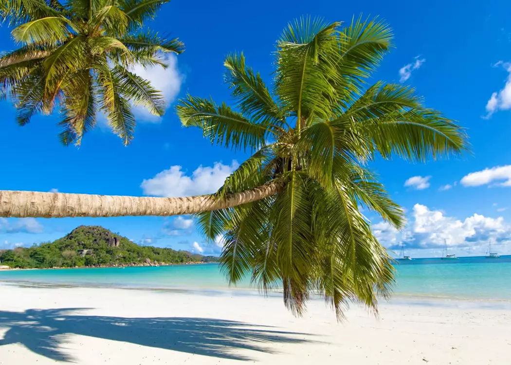 Africa Tour Packages from Coimbatore