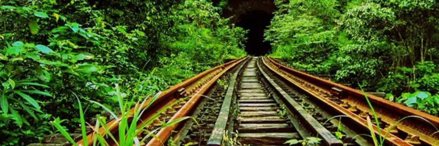 Coimbatore tours and travels taxi service