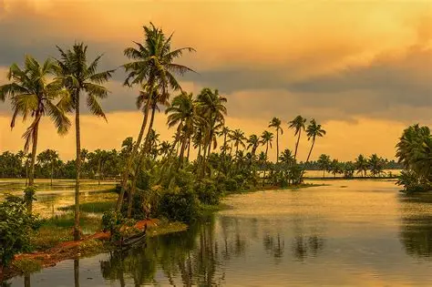 Travel agency in Coimbatore taxi service