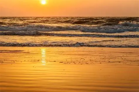 Top travel agency in Coimbatore service