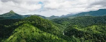 Anaimalai tour packages from Chennai