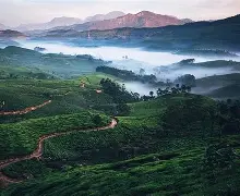 Munnar tour packages from Chennai