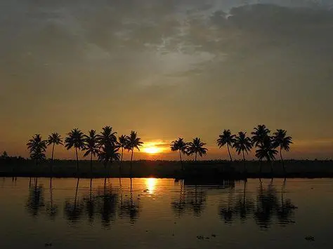 Palakkad tour packages from Chennai