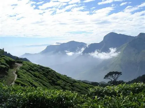 Topslip tour packages from Chennai